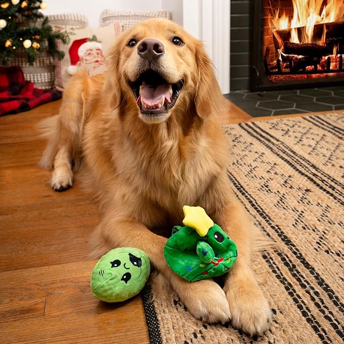 Barkbox Consuela the Christmas Cactus 2-in-1 Interactive Plush Dog Toy - Squeaky Dog Chew Toy with Whip and Flip Arms - for Medium to Large Dogs and Puppies