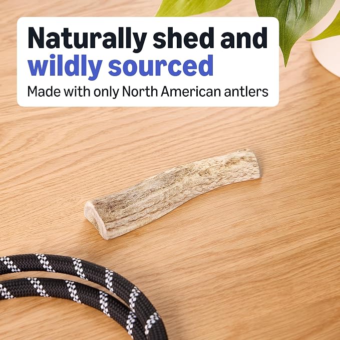 Amazon Basics Split Elk Antler, Naturally Shed, Small (Best for Dogs Under 15 lbs) (Previously Wag)