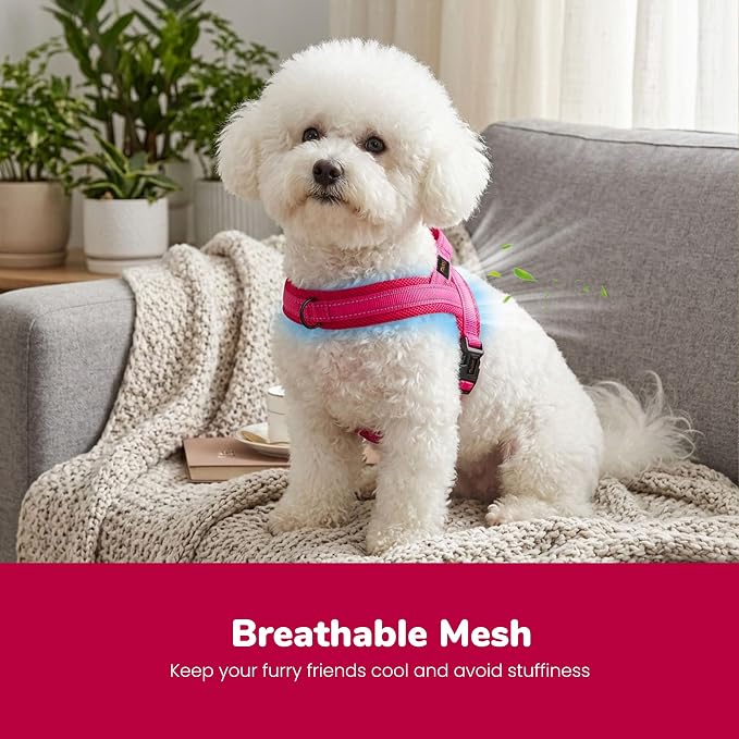 Didog No Pull Dog Harness with Breathable Mesh Padded,Reflective & Quick Fit Light Weight Dog Strap Vest Harness,Easy for Walking Training (XS:Chest 15-18", Mesh-Hot Pink)