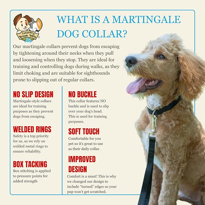 Country Brook Petz - Martingale Dog Collar - Heavy-Duty Training Collar with No Buckle - Service Dog Collar for All Pups - 20 Vibrant Colors (Black, 3/8 Inch, 3XS)