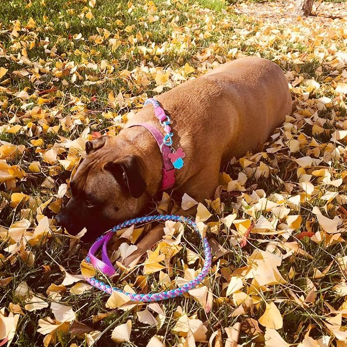2/3/4/6/10 Foot Reflective Dog Leash Strong Nylon Rope Braided Heavy Duty for Large Medium Small Dogs Walking Training Leads (Pink, 4ft * 1/2")
