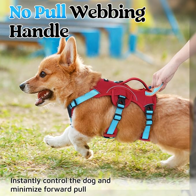rabbitgoo Escape Proof Dog Harness Large Dogs, Soft Padded Full Body Pet Harness, Reflective Adjustable No Pull Vest with Lift Handle and Leash Clip for Walking Hiking Training, Blue & Red, S