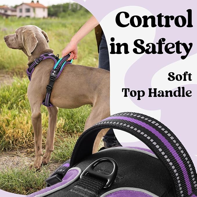 rabbitgoo Dog Harness Small Sized, No Pull Easy On & Off with 3 Buckles Pet Harness, Adjustable Soft Walking Vest with 2 Clips and Handle, Reflective for Small Dogs, Black & Purple, S