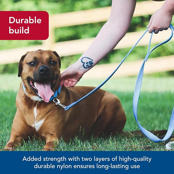 Coastal Pet Double-Ply Dog Leash - Bolt Snap Attachment to Collars and Harnesses - Nylon Dog Walking Leash for Small, Medium and Large Dogs - Pink Bright - 1" x 6'
