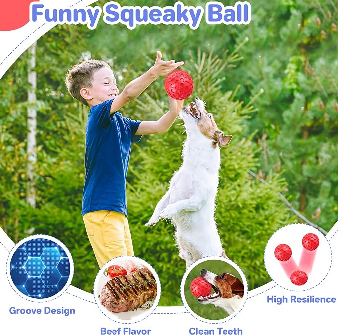 DISSKNIC Indestructible Squeaky Dog Balls Puppy Toys, Interactive Dog Toys for Small Dogs, Puppy Chew Toys for Teething and Relax, Dog Chew Toy Balls Small Dog Toys for Small Breed, Outdoor Dog Toys