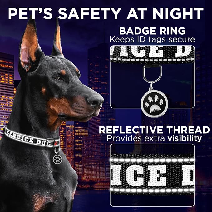 TECEUM Reflective Pet Collar – Black - Service Dog – XL – Extra Soft Padding – Basic Nylon Dog Collar – Quick Release Buckle – Fits Small, Medium and Large Dogs, Puppies, Cats
