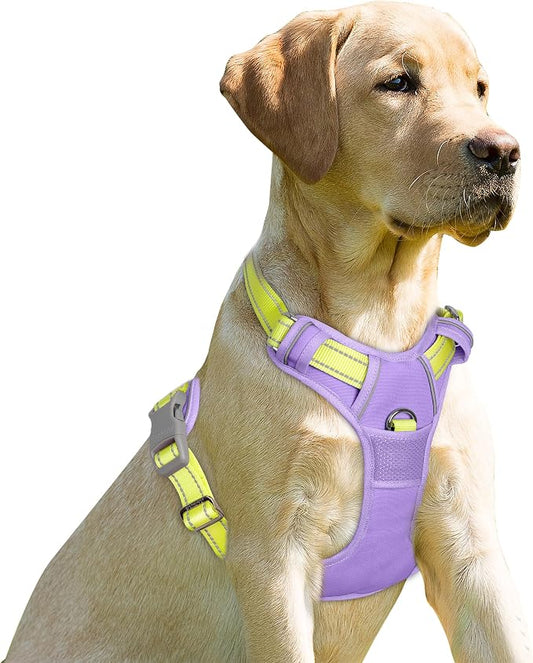 BARKBAY No Pull Dog Harness Front Clip Heavy Duty Reflective Easy Control Handle for Large Dog Walking(Violet Purple & Sunlight,XL)