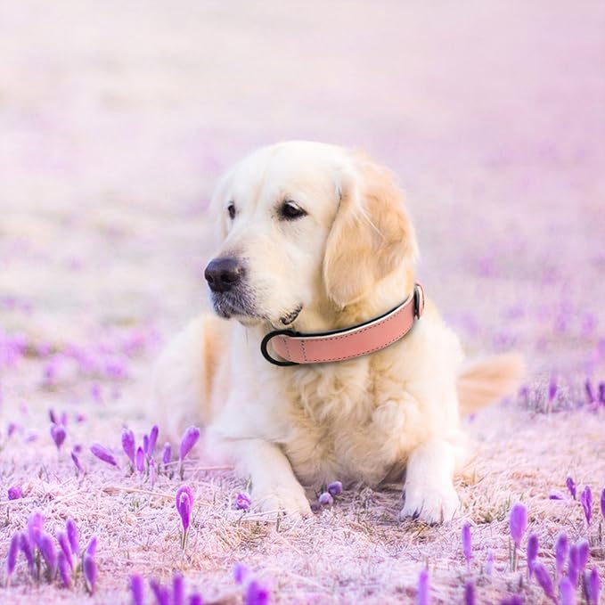 Didog Soft Padded PU Leather Dog Collar, Breathable and Adjustable Pink Dog Collars for Medium Dogs, Comfortable for Daily Walk, Pink, L Fit Neck 14-18"(22-44 lbs)