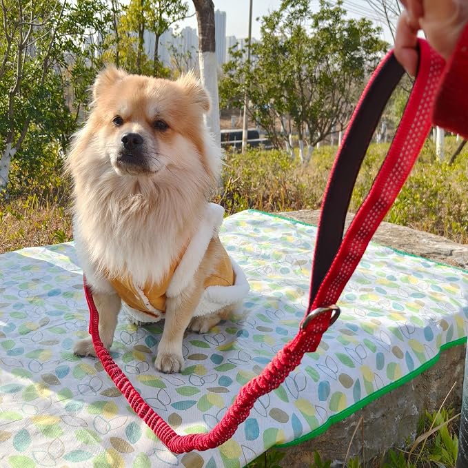 WYuZe 4FT Bungee Dog Leash for Strong Puppy Medium Dogs- Reflective, Shock Absorbing, Elastic Nylon Leash with Padded Handle for Safety Comfort No Pull Walking Training (Red, 3/4"-Wide)