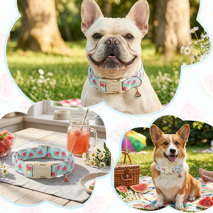 Summer Dog Collar, Cute Light Blue Puppy Collar with Watermelon Pattern, Cotton Adjustable Dog Collars for Small Medium Large Dogs, Gift for Boys Girls Dogs-M