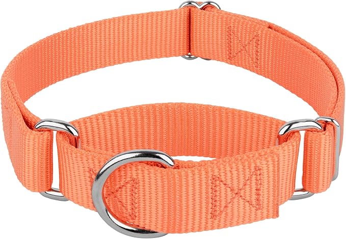 Country Brook Petz - Martingale Dog Collar - Heavy-Duty Training Collar with No Buckle - Service Dog Collar for All Pups - 20 Vibrant Colors (Mango, 1 Inch, Medium)
