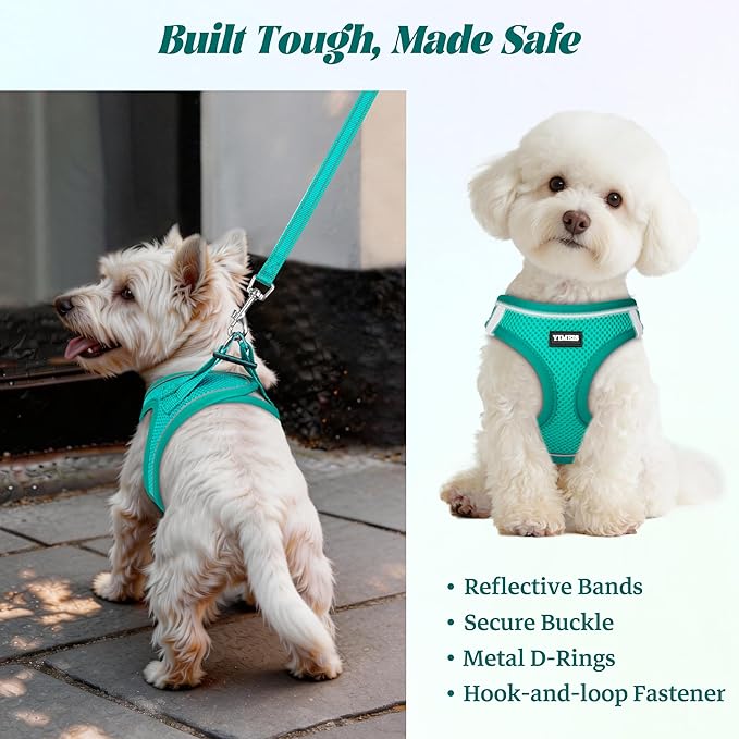 YIMEIS Dog Harness and Leash Set, No Pull Soft Mesh Pet Harness, Reflective Adjustable Puppy Vest for Small Medium Large Dogs, Cats (Turquoise, Small (Pack of 1)