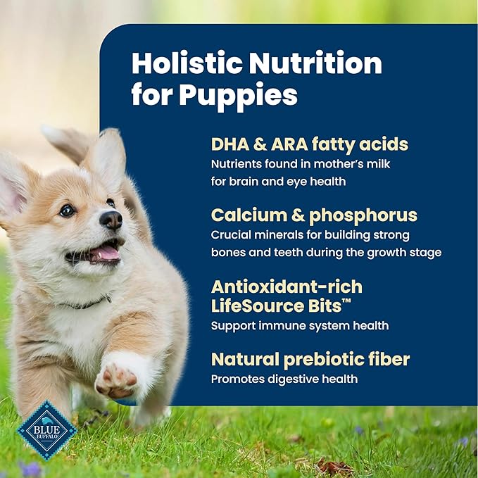 Blue Buffalo Life Protection Formula Chicken & Brown Rice Puppy Dry Dog Food with DHA & ARA, Supports Immunity with Antioxidant-Rich LifeSource Bits, Promotes Healthy Muscles & Strong Bones, 30 lbs.