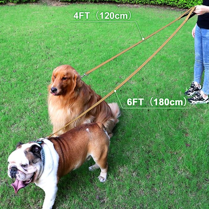 FunTags 4FT Khaki Reflective Dog Leash for Medium & Small Dogs Training, Soft Padded Handle Comfortable Grip, Heavy Duty Nylon, Reflective for Night Walking, 3/4in Wide