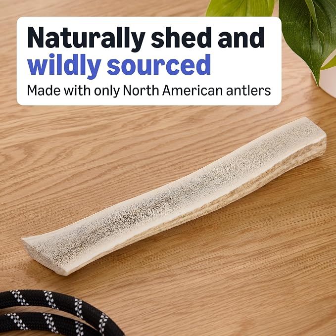 Amazon Basics Split Elk Antler, Naturally Shed, Long Lasting for Aggressive Chewers, X-Large (Best for Dogs Over 45 lbs) (Pack of 4) (Previously Wag)