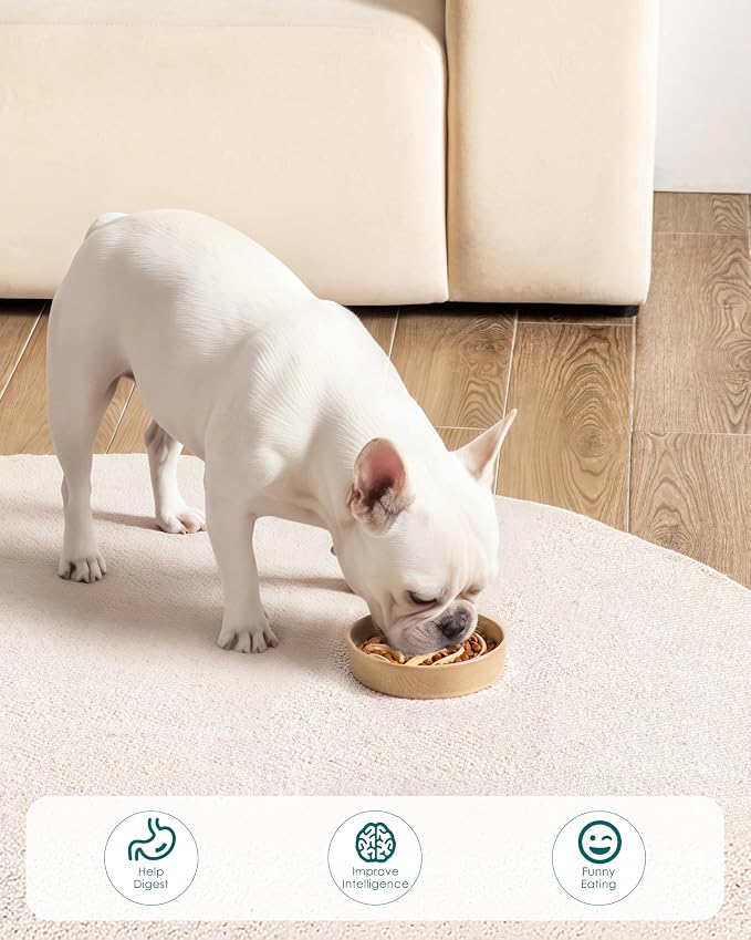 vancasso Slow Feeder Dog Bowl, 0.6 Cup Ceramic Slow Feeding Food Dish for Small Breed, Puzzle Dog Food Bowl for Fast Eater, Brown
