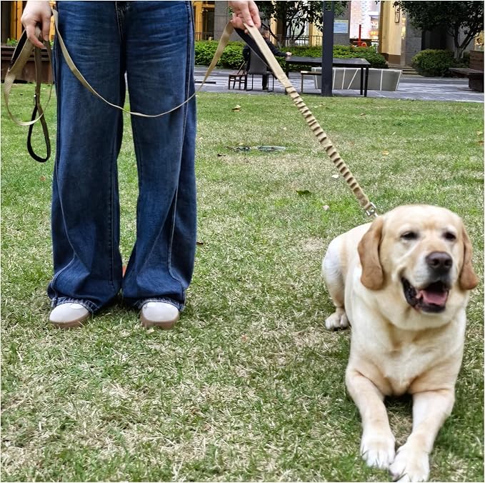 BTINESFUL 8ft Dog Leash with 3 Handles, Reflective Shork Absorbing Bungee Dog Leash, Safety Training Controlling for Large Medium Dogs (Brown, 1 in x 8 ft)