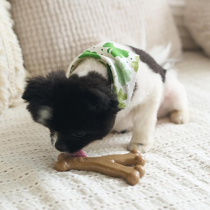 SPOT Bam-Bones Wishbone Dog Chew Toy, Bamboo Fiber Blend, Non-Splintering Durable Chew for Light to Moderate Chewers, Adult Dogs & Teething Puppies 10–30 lbs, Chicken Flavor, 5.25 in