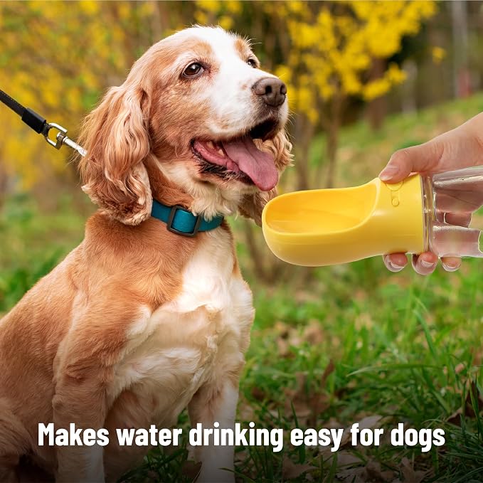 Mr. Pen- Portable Dog Water Bottle, 19 oz, Large, Leak Proof Puppy Water Dispenser with Drinking Feeder for Pets, Outdoor Walking, Hiking, Travel, Not Dishwasher Safe
