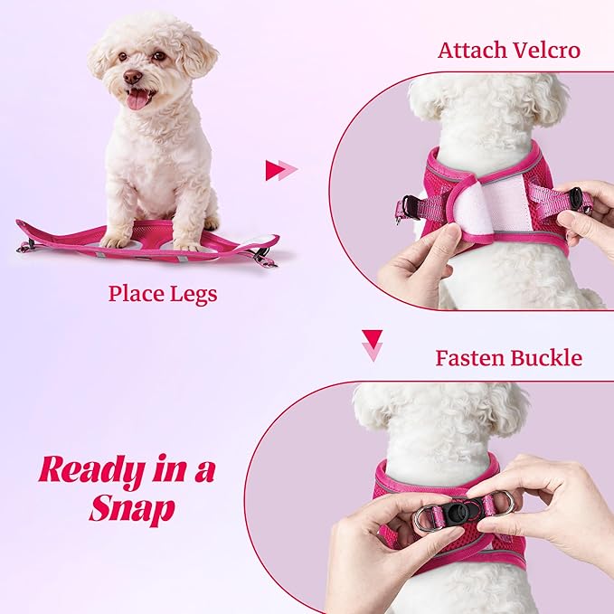 YIMEIS Dog Harness and Leash Set, No Pull Soft Mesh Pet Harness, Reflective Adjustable Puppy Vest for Small Medium Large Dogs, Cats (Rose Red, Small (Pack of 1)