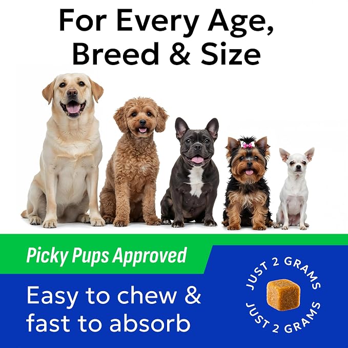 BARK&SPARK Dog Probiotics & Digestive Enzymes (Gut Health) Allergy & Itchy Skin - Pet Diarrhea Gas Treatment Upset Stomach Relief, Digestion Health Prebiotic Supplement Dog Treats (240Ct Chicken)