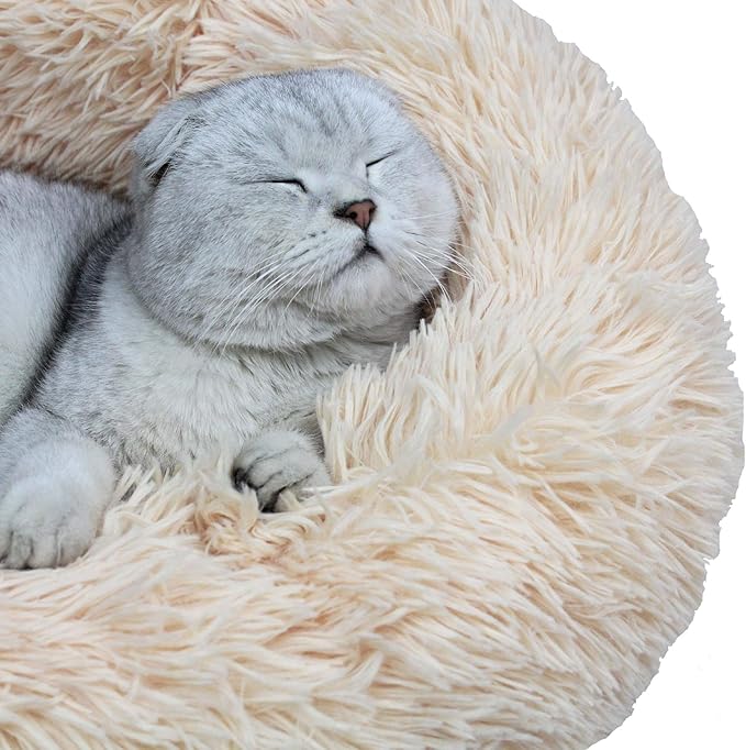 Modern Soft Plush Round Pet Bed for Cats or Small Dogs, Mini Medium Sized Dog Cat Bed Self Warming Autumn Winter Indoor Snooze Sleeping Cozy Kitty Teddy Kennel (24'' D x 8'' H, Champagne)