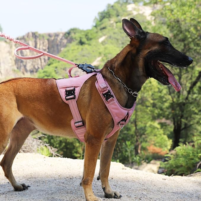 ICEFANG GN8 Tactical Dog Harness for Large Sized Dogs,Full Metal Buckles,Reflective in Training Walking K9 Dog Vest,No-Pull Front Leash Clip,Adjustable Pet Harness (Pink, L (Pack of 1))