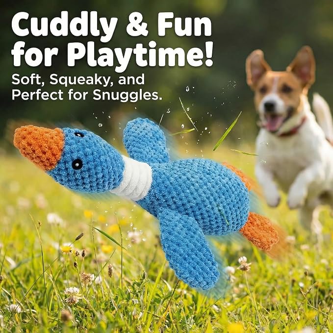 Paw-FECT Piece Goose Squeaky Dog Toy, Plush Chew Toy, Crinkle Wings, Great for All Dog Sizes and Breeds, Interactive and Good for Teething, Blue Dog Duck Toy