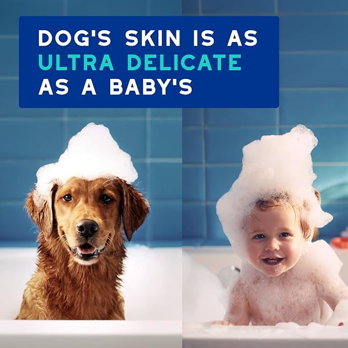 DOUXO SPA Dog Shampoo for Smelly Dogs, 16 fl oz, Hydrates the Skin, Removes Bad Odor, Leaves the Coat Soft and Smelling Great, Ultra-Safe Formula