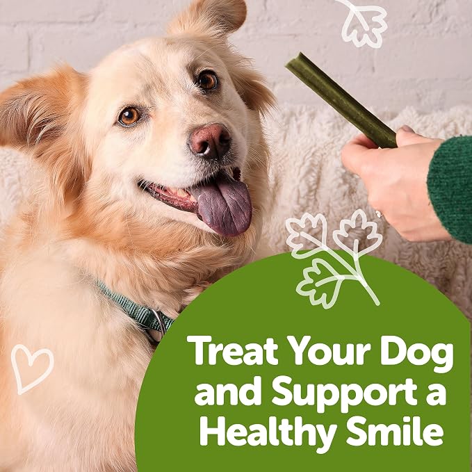 Wellness WHIMZEES Freshzees Natural Dog Dental Treat, Soft Chews, Freshens Breath, Medium Size, 14.81 oz Bag, 14 Count