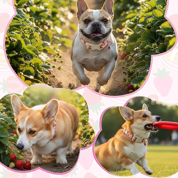 Dog Collar with Strawberry Patterns, Spring Summer Collection Pink Dog Collar with Exquisite Pendant, Durable Adjustable Collars for Gifts & Daily Use-M