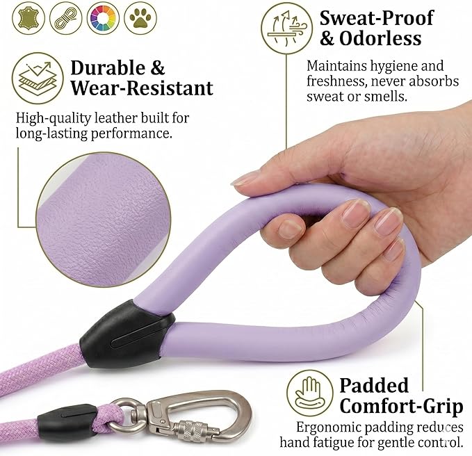 Walking Lead 5ft, Purple Pet Leash for Dogs,Only Leather Mold Handle Design, Ergonomic Soft Touch Grip,Reinforced Heavy Duty Webbing,Stylish Daily Training Lead,Elegant Bright Colors(Lavender,5 FEET)