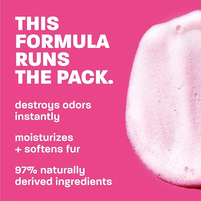 TropiClean Deodorizing Dog Shampoo, Powerful Odor Control, Long-Lasting Raspberry Lime Scent, Puppy Safe, Made in The USA, Cat Friendly, 20oz.