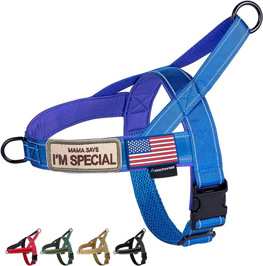 Annchwool No Pull Dog Harness with Soft Padded Handle-Reflective Strip Escape Proof and Quick Fit to Adjust Dog Harness-Easy for Training Walking for Small & Medium and Large Dogs(Blue,XS,1 in Width)