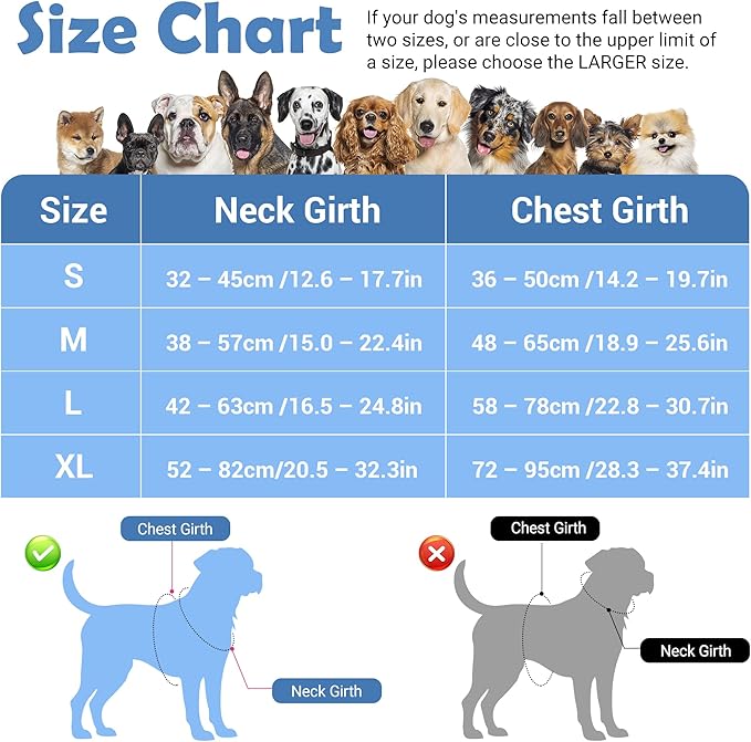 Funfox Dog Harness No Pull, Adjustable Pet Vest Harness, Super Soft Material with Vertical Handle Easy Control, Reflective Night Walking, 2 Leash Clips for Small Sized Dogs, Mosaic Blue, S