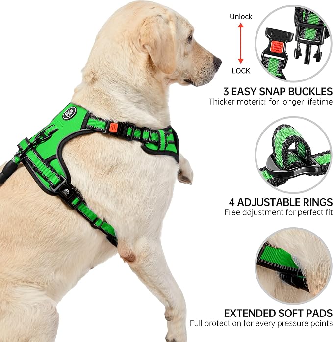 NESTROAD No Pull Dog Harness,Adjustable Oxford Dog Vest Harness with Leash,Reflective No-Choke Pet Harness with Easy Control Soft Handle for Small Dogs(Small,FluorescentGreen)