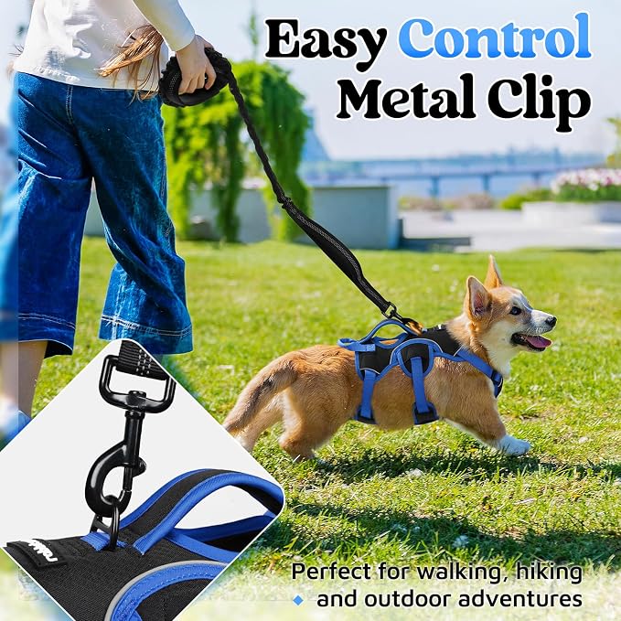 rabbitgoo Escape Proof Dog Harness Large Dogs, Soft Padded Full Body Pet Harness, Reflective Adjustable No Pull Vest with Lift Handle and Leash Clip for Walking Hiking Training, Blue & Black, S