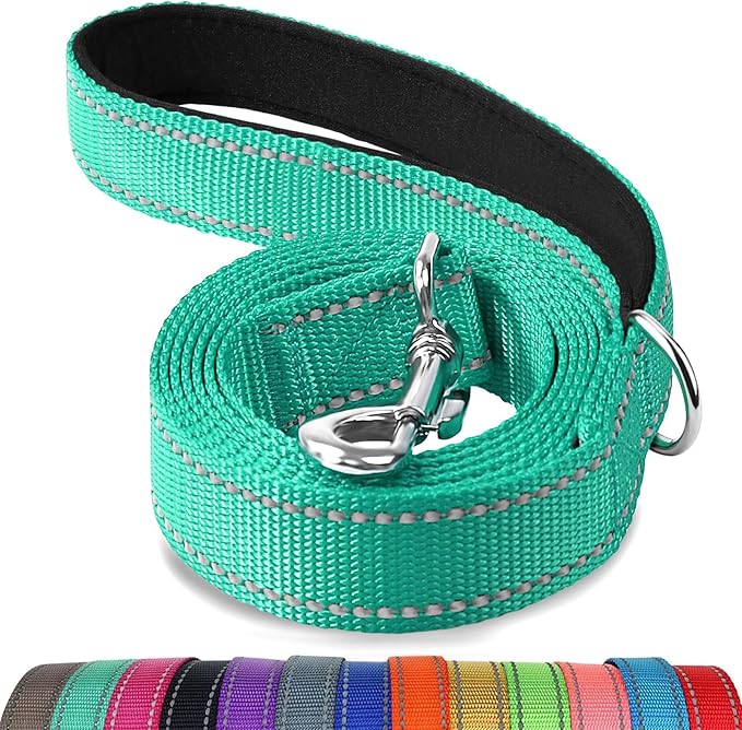 Joytale Dog Leash, 6 FT Double-Sided Reflective, Padded Handle Nylon Heavy Duty Leashes for Small Dogs Walking, Teal