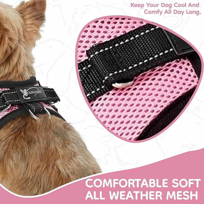 No Pull Reflective Adjustable Dog Harness with Handle- Comfortable Soft All Weather Mesh, Easy On Puppy Harness for Small Medium and Large Dogs (Pink) XX-Small