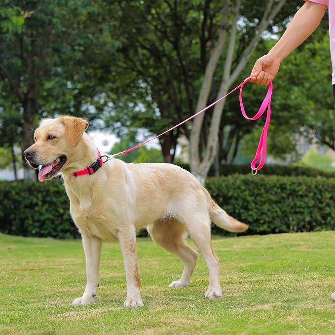 Waterproof Dog Leash, 5/6 FT Durable Odor-Proof Dog Leashes with Strong Metal Hooks Fits Small Medium or Large Dogs (Pink, 5FT - 3/4 inch Width)