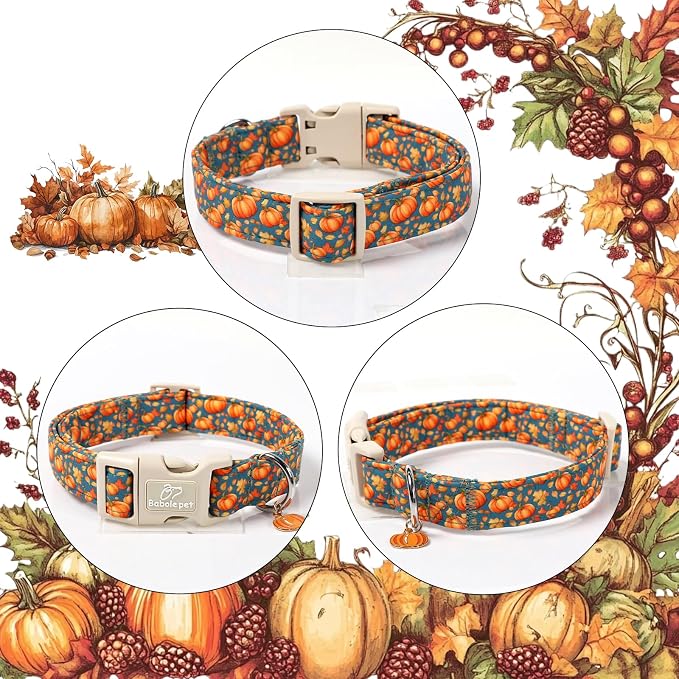 Fall Dog Collar Cute Autumn Pumpkin Puppy Collar - Light Comfortable Adjustable Pet Collars for Small Medium Large Girl Boy Dogs M