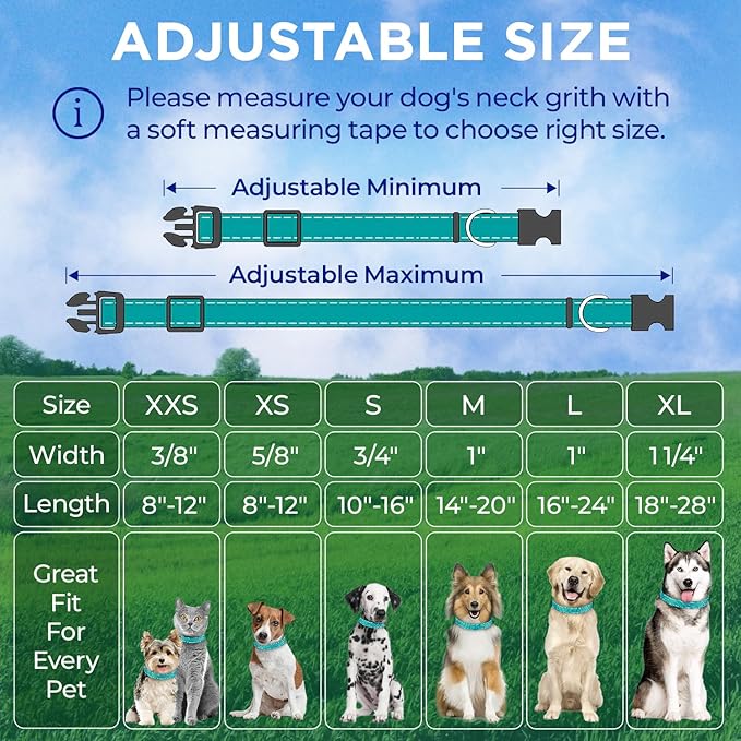 TECEUM Reflective Dog Collar – Teal – M – Extra Soft Padding – Basic Nylon Pet Collar – Quick Release Buckle – Fits Small, Medium and Large Dogs, Puppies, Cats – ESA & Service Dog Options