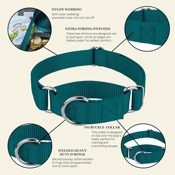 Country Brook Petz - Martingale Dog Collar - Heavy-Duty Training Collar with No Buckle - Service Dog Collar for All Pups - 20 Vibrant Colors (Teal, 3/4 Inch, Small)