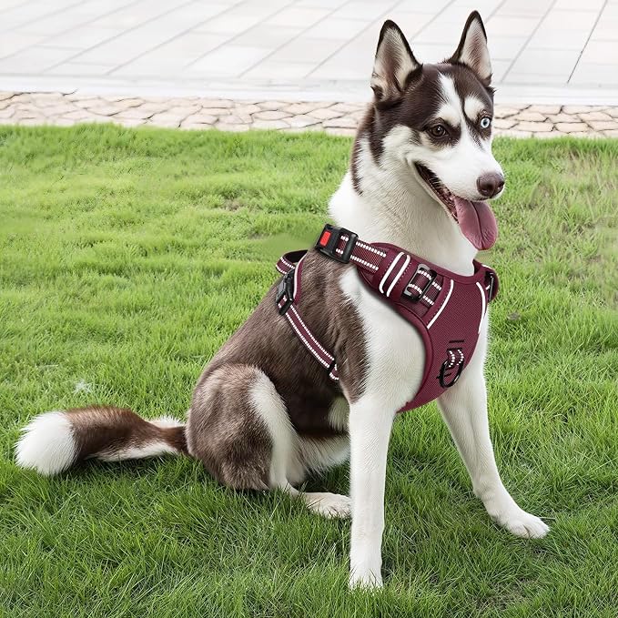 Timos Dog Harness Large Sized, No Pull Pet Harness with Neck Lockable Snap, No Choke Front Clip Reflective Vest, Adjustable Metal Rings 3 Buckles, Easy Control Handle for Large Dogs Burgundy L