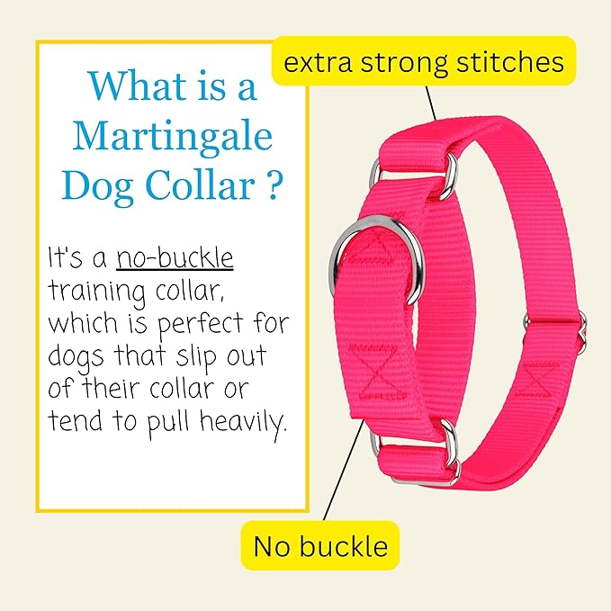 Country Brook Petz - Martingale Dog Collar - Heavy-Duty Training Collar with No Buckle - Service Dog Collar for All Pups - 20 Vibrant Colors (Hot Pink, 1 Inch, Large)