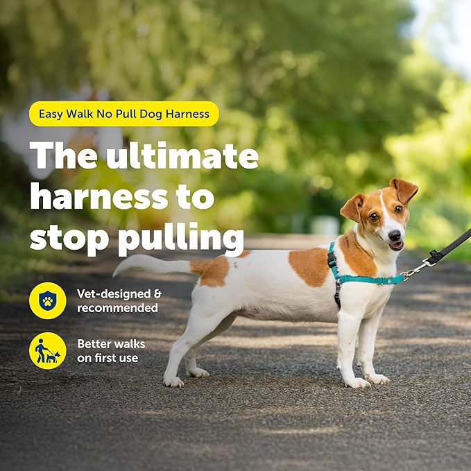 PetSafe Easy Walk No-Pull Dog Harness - Ultimate Harness to Help Stop Pulling - Pull-Free Walks - Take Control & Teach Better Leash Manners - Patented Martingale Loop Design - Teal, Small