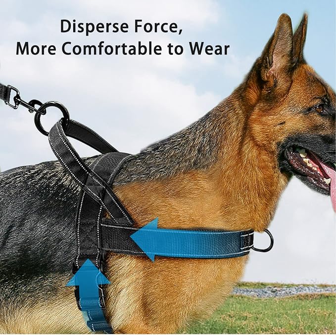 No Pull Dog Harness Black for Small Medium Large Sized Dog, Reflective Escape Proof Adjustable Dog Harnesses with 2 Patch, S