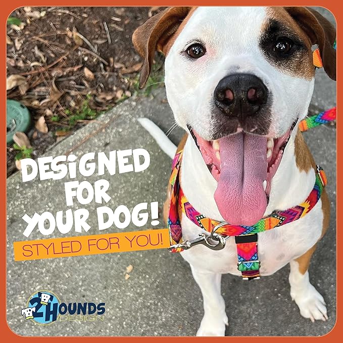 2 Hounds Design Freedom No Pull Dog Harness, Adjustable Harness and Leash Set, Easy Walking & Comfortable Control, Fits Small, Medium & Large Dogs, Solid Colors, Made in USA, 1" MD, Navy