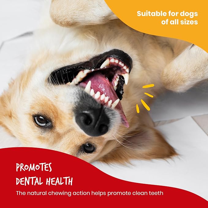Beefeaters Beefhide 5in Twist Sticks with Real Chicken 10oz - Dog Rawhide Chews for Clean Teeth & Training, High Protein Dog Treat Chews, Chicken Wrapped Rawhide Sticks, No Artificial Colors or Flavor