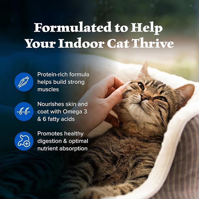 Blue Buffalo Wilderness Nature's Evolutionary Diet High-Protein, Grain-Free Natural Dry Food for Adult Cats, Chicken, 2-lb. Bag